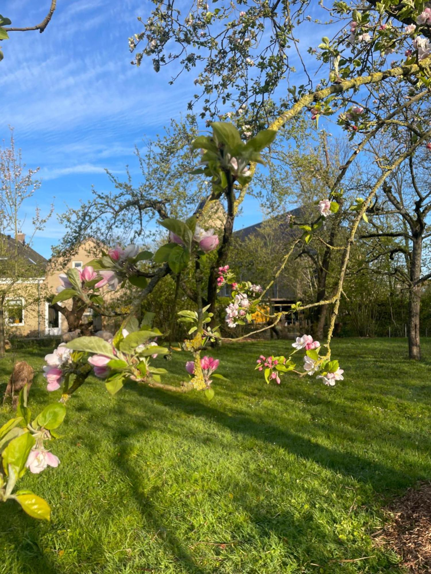 Appartement De Dageraad In Monumentale Boerderij Kimswerd Dış mekan fotoğraf